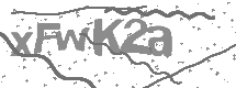 visual captcha
